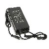 CHARGEUR 60V 2A Fiche XLR model DZL601001 pour Citycoco