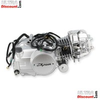 Moteur 125cc Euro5 Skyteam T-Rex photos 1