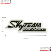 Autocollant SkyTeam pour Trex (gris-noir) images 2