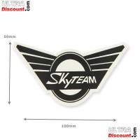 Autocollant SkyTeam pour Skymini (avant) photos 1