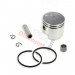 Kit Piston 44 mm (axe de 10 mm) pour kit Chinois + Cage Aiguille