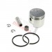 Kit Piston 44 mm (axe de 10 mm) pour kit Chinois + Cage Aiguille