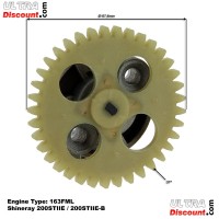 Pompe  Huile pour Quads Shineray 200STIIE - 200STIIE-B (Moteur 163FML) photos 1