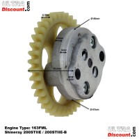 Pompe  Huile pour Quads Shineray 200STIIE - 200STIIE-B (Moteur 163FML) images 4