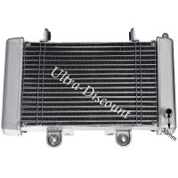 Radiateur + adaptateur + ventilateur Shineray 250cc STIXE photos 2