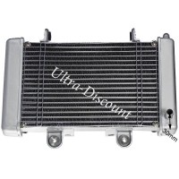 Radiateur + adaptateur + ventilateur Shineray 250cc STIXE images 3