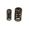 Ressorts de Soupape pour Quad Spy Racing 250 F1, Pi�ces Quad SPY250F1