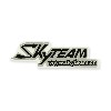 Autocollant SkyTeam pour Skymini (gris-noir)