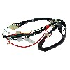 Faisceau �lectrique 36610-17H01 pour Skymax 50cc ou 125cc (Avant 10-2015), Pi�ces Dax Skymax