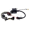 Allumage pour Pocket Polini GP3 Liquide, Pi�ces Polini 911 GP3