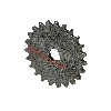 Pignon de Pompe � Huile pour Quads Shineray 150STE, Pi�ces Shineray 150 STE