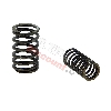 Ressorts de Soupapes pour Quads Shineray 150STE, Pi�ces Shineray 150 STE