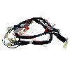 Faisceau �lectrique 36610-17H02 pour Skymax 50cc ou 125cc (apr�s 10-2015), Pi�ces Dax Skymax