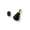 Valve pour pneu Tubeless, Pi�ces Shineray 150 STE