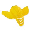 Carenage avant Pocket Quad - Jaune, Pieces pocket quad