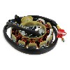 Stator pour Scooter Chinois 125cc (type 2), Pi�ces scooter chinois