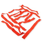 Paire de Filets de Marche Pieds rouges pour Shineray 250STXE