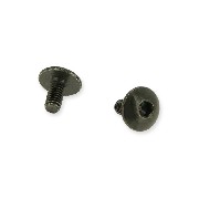 2 Vis de car�nage M6x10 pour quad Bashan 250cc BS250S11 