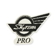 Autocollant SkyTeam Pro pour rservoir Skymini (gauche)