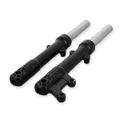 Paire de bras de fourche pour Citycoco (Noir)