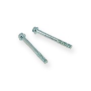 Paire de vis M6 60mm pour moteur Quad