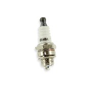 Bougie M6A pour moteur de pocket quad d'origine
