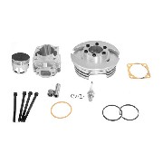 Kit 53cc 4 transferts axe 10mm Alu (Type C)