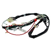 Faisceau lectrique 36610-17H01 pour Skymax 50cc ou 125cc (Avant 10-2015)