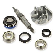 Kit rvision pompe  eau Quad Bashan 250cc (BS250S-11)