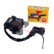 Allumage pocket bike Nitro avec antiparasite NGK