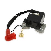 Bobine d'allumage + antiparasite en silicone pour pocket Nitro