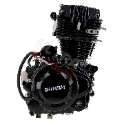 Moteur Quad Shineray 200cc STIIE - STIIE-B 163FML