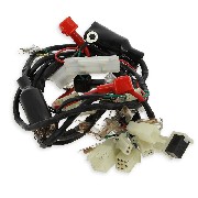 Faisceau �lectrique Quad Bashan 200cc (BS200-3)