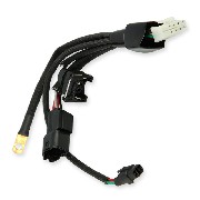 Cable de connexion 1 pour Unit de commande pour Dax Skymax 50-125cc EURO4