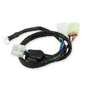 Cable de connexion 2 pour Unit de commande moteur pour Trex Skyteam 50-125cc EURO4