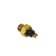 Sonde de dclenchement du ventilateur Spy Racing 250 F1