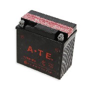 Batterie pour Quad Shineray 150cc XY150STE