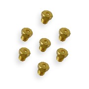 Lot de 7 gicleurs pour kit carburateur de Arreche