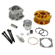 Kit 53cc 4 transferts axe 12mm Or (Type C)