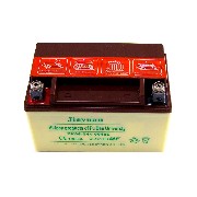 Batterie pour scooter Baotian BT49QT-12