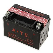 Batterie pour Quad Shineray 250cc ST-9E