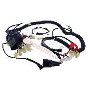 Faisceau �lectrique pour Quad Shineray 300cc STE