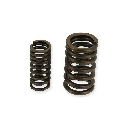 Ressorts de Soupape pour Quad Spy Racing 250 F3, Pices Quad SPY250F3