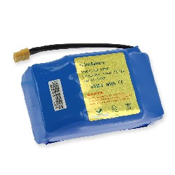 Batterie Li-ion 36v 4.4AH pour Overboard (11GD-10S2P )