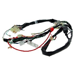 Faisceau lectrique 36610-17H01 pour Skymax 50cc ou 125cc (Avant 10-2015), Pices Dax Skymax