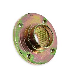Support de disque de frein pour Quad Shineray 250 STXE, Pices Shineray 250 STXE